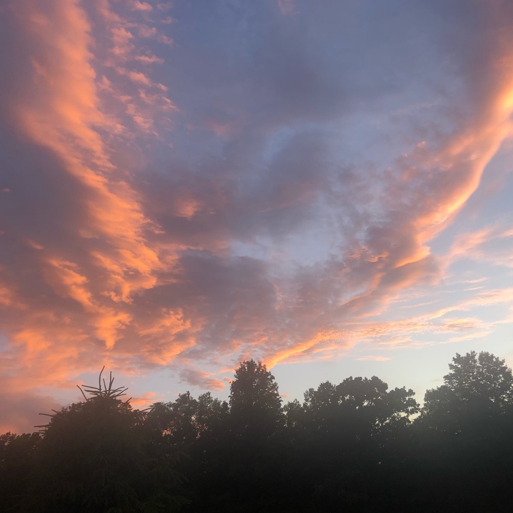 Meet your Posher, Tessa